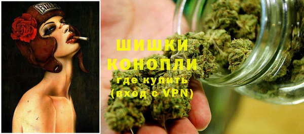 дурь Заводоуковск
